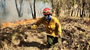 Forest fire damage down this year in Jalisco