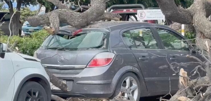 Tree branches fall in Ajijic damaging two cars at Plaza Bugambilias