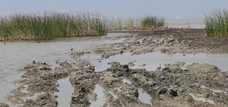 Expert charges lake Mud Festival is “negligence” and “utter stupidity”