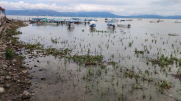 Lake Chapala rises 20 centimeters with the recent rains