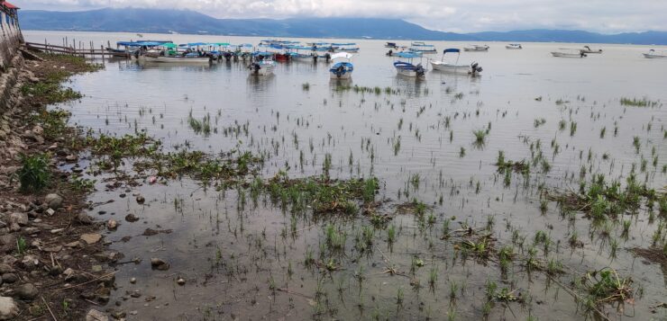 Lake Chapala rises 20 centimeters with the recent rains