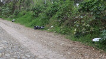 Headless dead baby goats dumped on Ocampo Street - no suspects yet