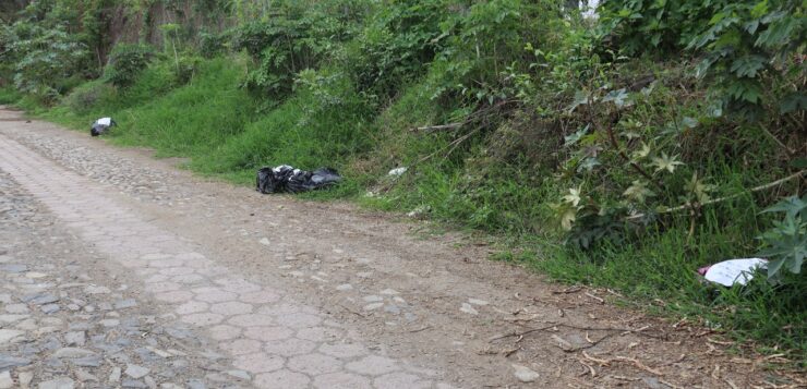 Headless dead baby goats dumped on Ocampo Street - no suspects yet