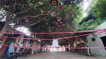 Eleven trees in Ajijic’s Art Alley get needed maintenance