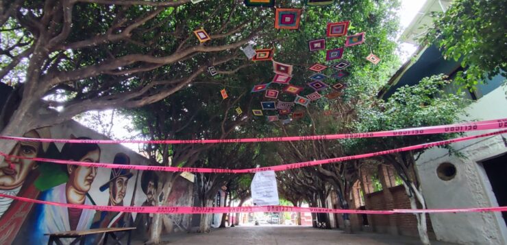 Eleven trees in Ajijic’s Art Alley get needed maintenance