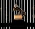 Music Sin Fronteras: the new Grammy class, diverse, inclusive and global