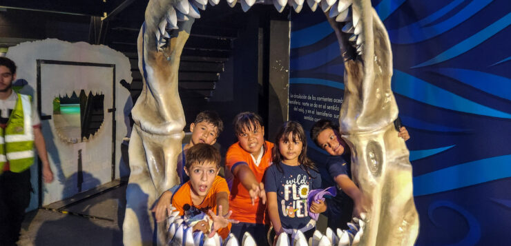 Terranova Institute students visit the Michin Guadalajara Aquarium