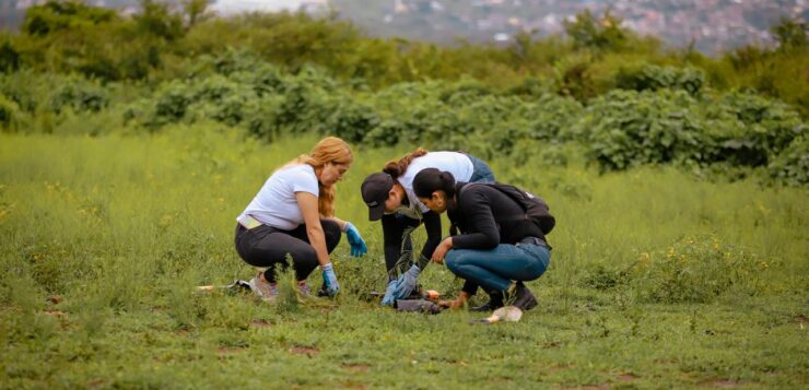 PHOTONOTE: 45 trees planted on the Jagüey Hill