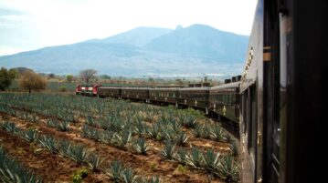 The Tequila Express train will launch on September 14