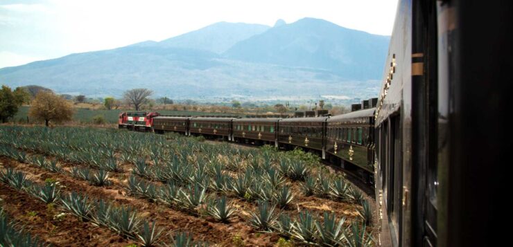 The Tequila Express train will launch on September 14