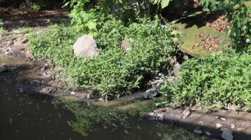 Sewage spill on Río Zula street continues in Ajijic