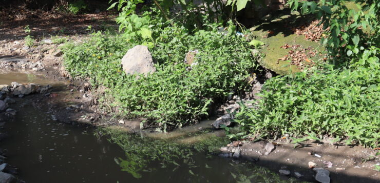 Sewage spill on Río Zula street continues in Ajijic