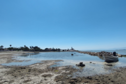 Lake Chapala not quite at 50% capacity, but rising