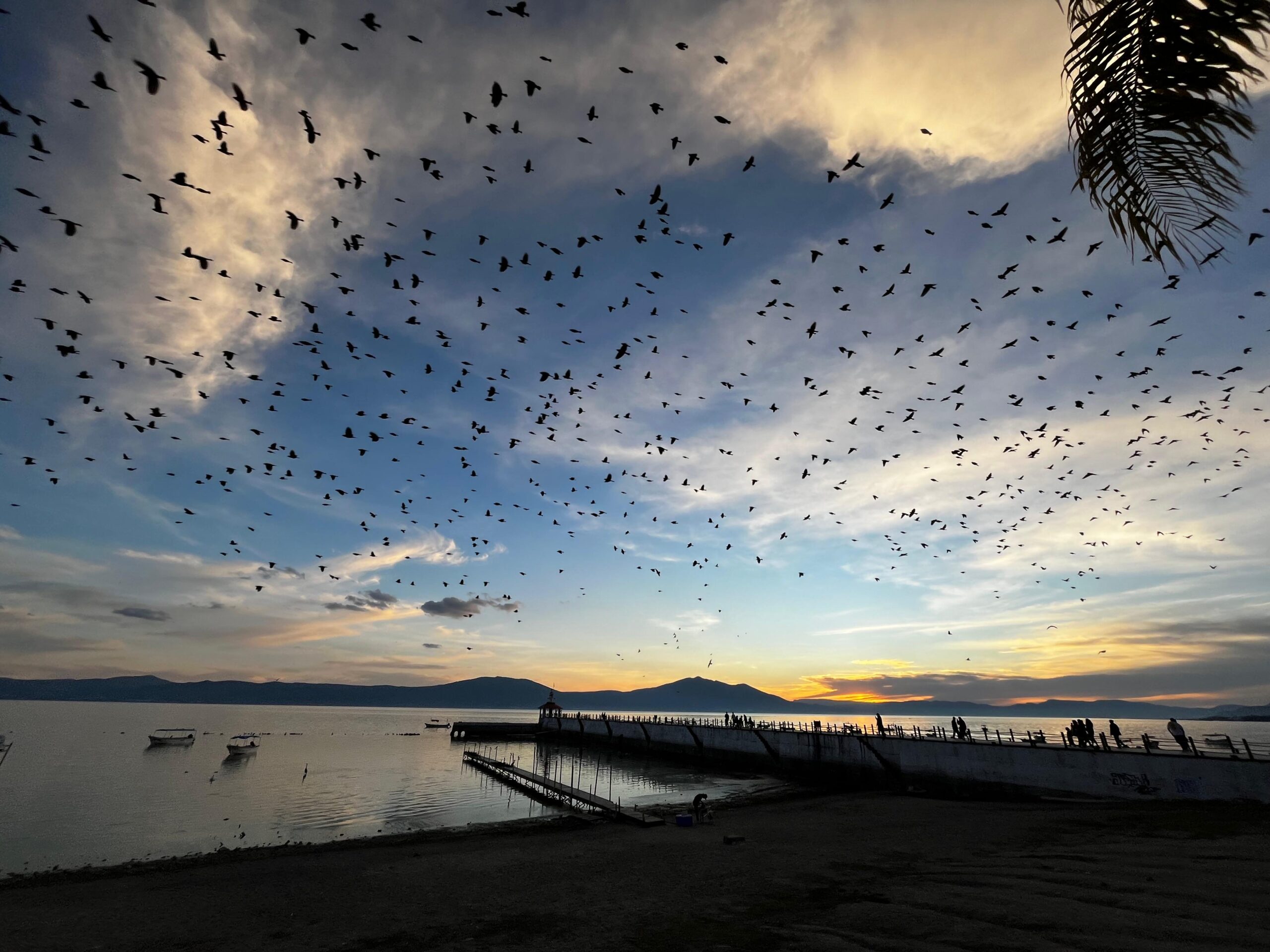 Lake Chapala has exceeded expectations this rainy season