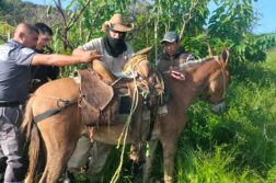 Two rescued in Ixtlahuacán de los Membrillos hills