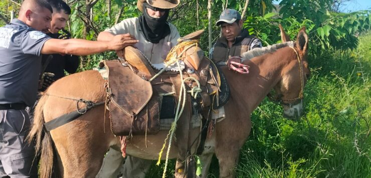 Two rescued in Ixtlahuacán de los Membrillos hills