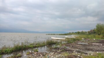 Expert predicts Lake Chapala will reach 58% capacity