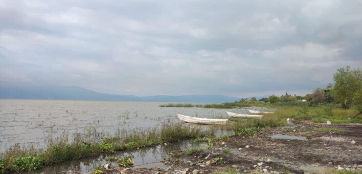 Expert predicts Lake Chapala will reach 58% capacity