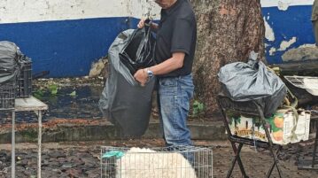 Animal abuse and sales reported in Ajijic tianguis