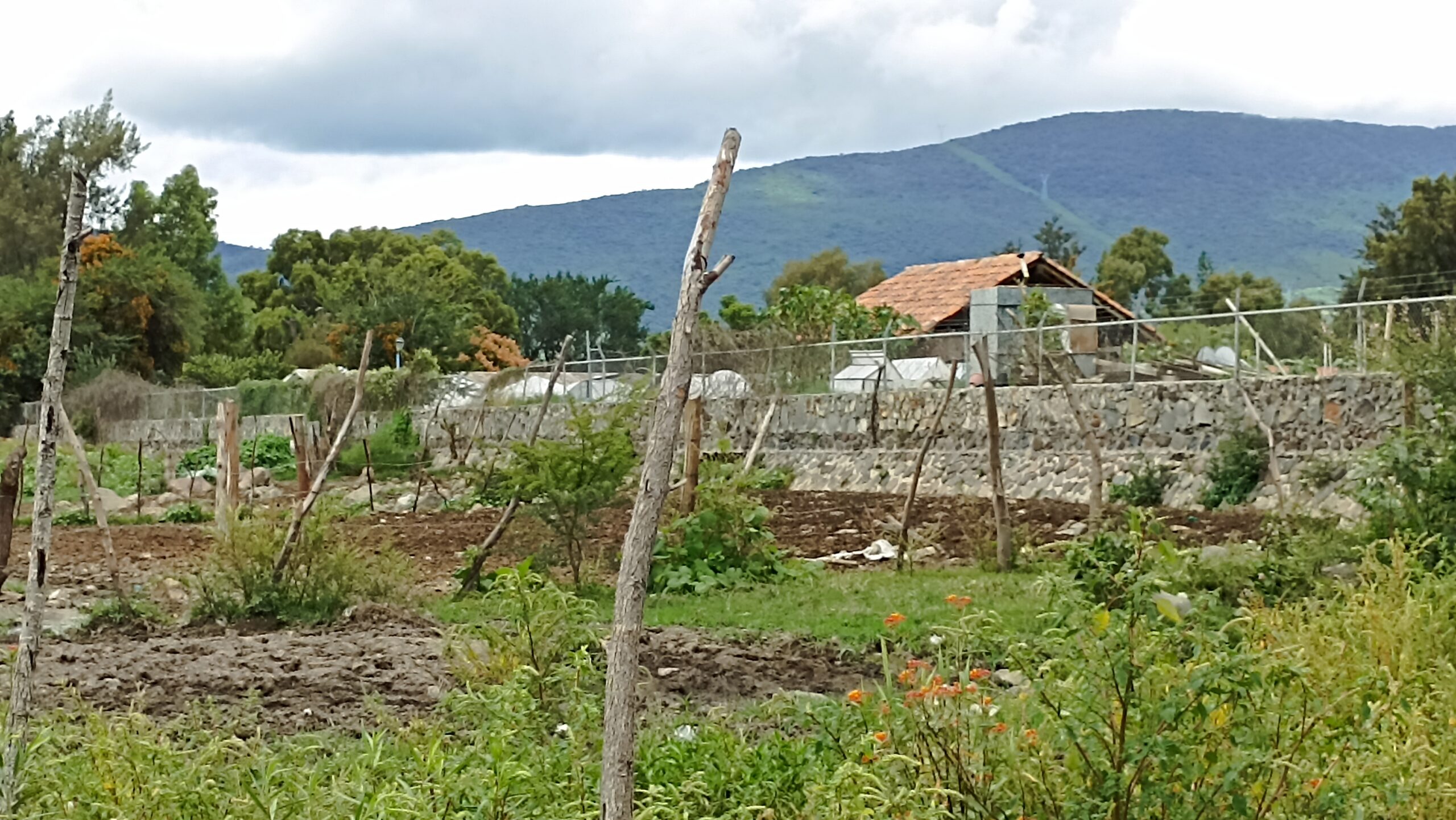 Lake Chapala rises, hiding barbed wire along the shore