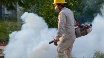 Jocotepec hits 69 cases of dengue - 11 in just one week