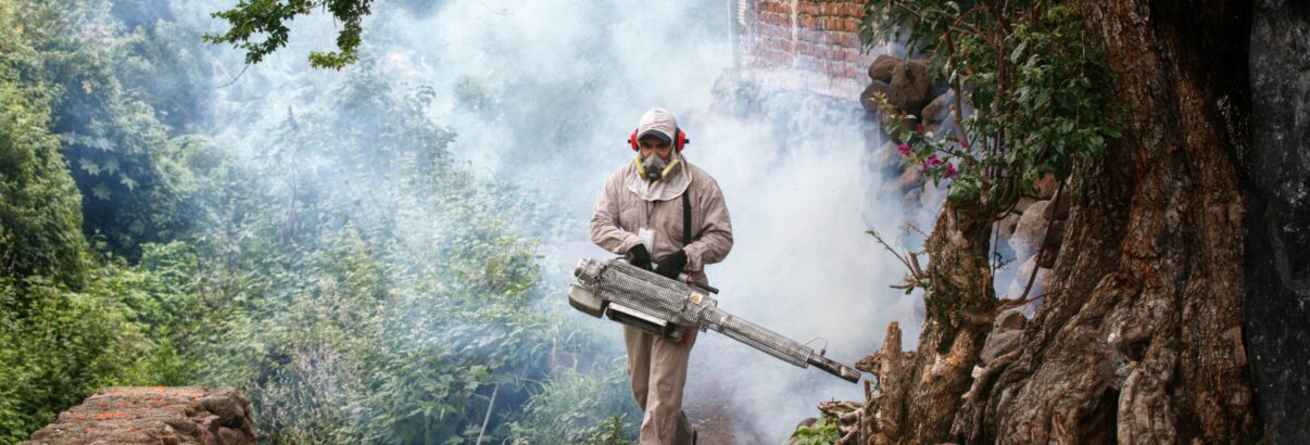  Jocotepec reports twenty-five new dengue cases last week <br /> <span style='color:#797979;font-size:15px;font-family: Georgia, Cambria, 'Times New Roman', Times, serif;'>Chapala added seven cases</span>