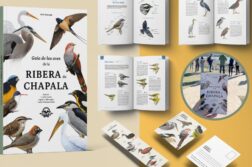 Chapala Bird Guide wins international award for design excellence