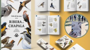 Chapala Bird Guide wins international award for design excellence