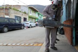 Dengue cases stabilize in Jocotepec