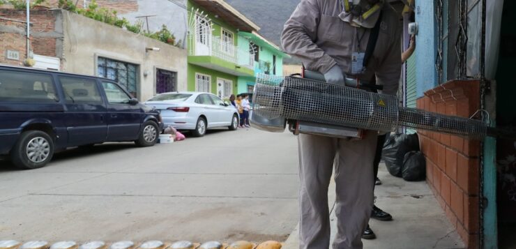 Dengue cases stabilize in Jocotepec