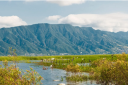 Heart of the Earth Institute urges COP29 to include lake wetlands funds