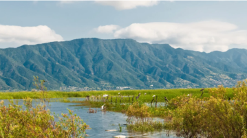 Heart of the Earth Institute urges COP29 to include lake wetlands funds