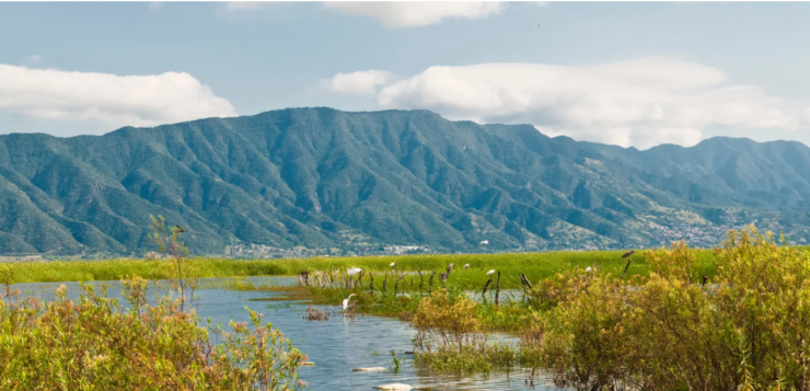 Heart of the Earth Institute urges COP29 to include lake wetlands funds