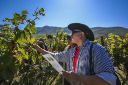 Jalisco Tourism launches new monastery and vineyard tours in Chapala