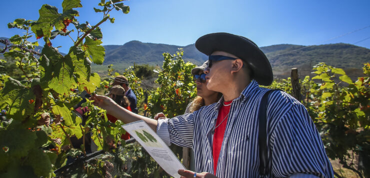 Jalisco Tourism launches new monastery and vineyard tours in Chapala