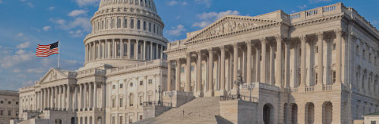 Senate passes Social Security Fairness Act. House introduces Expat tax reduction