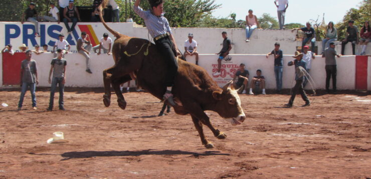 Carnival rodeo lineup announced for Ajijic by Charro Association