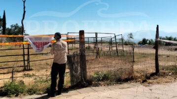 State Congress requests investigation of environmental damage in Lake Chapala