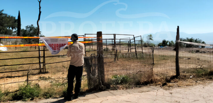 State Congress requests investigation of environmental damage in Lake Chapala