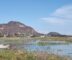 Lake Chapala toxins pollute Guadalajara's drinking water