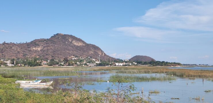 Lake Chapala toxins pollute Guadalajara's drinking water