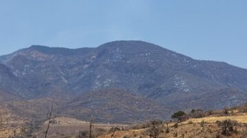 At least 1,200 hectares affected by forest fire in Jocotepec Fire spread rapidly in Potrerillos At least 1,200 hectares affected by forest fire in Jocotepec