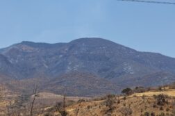 At least 1,200 hectares affected by forest fire
