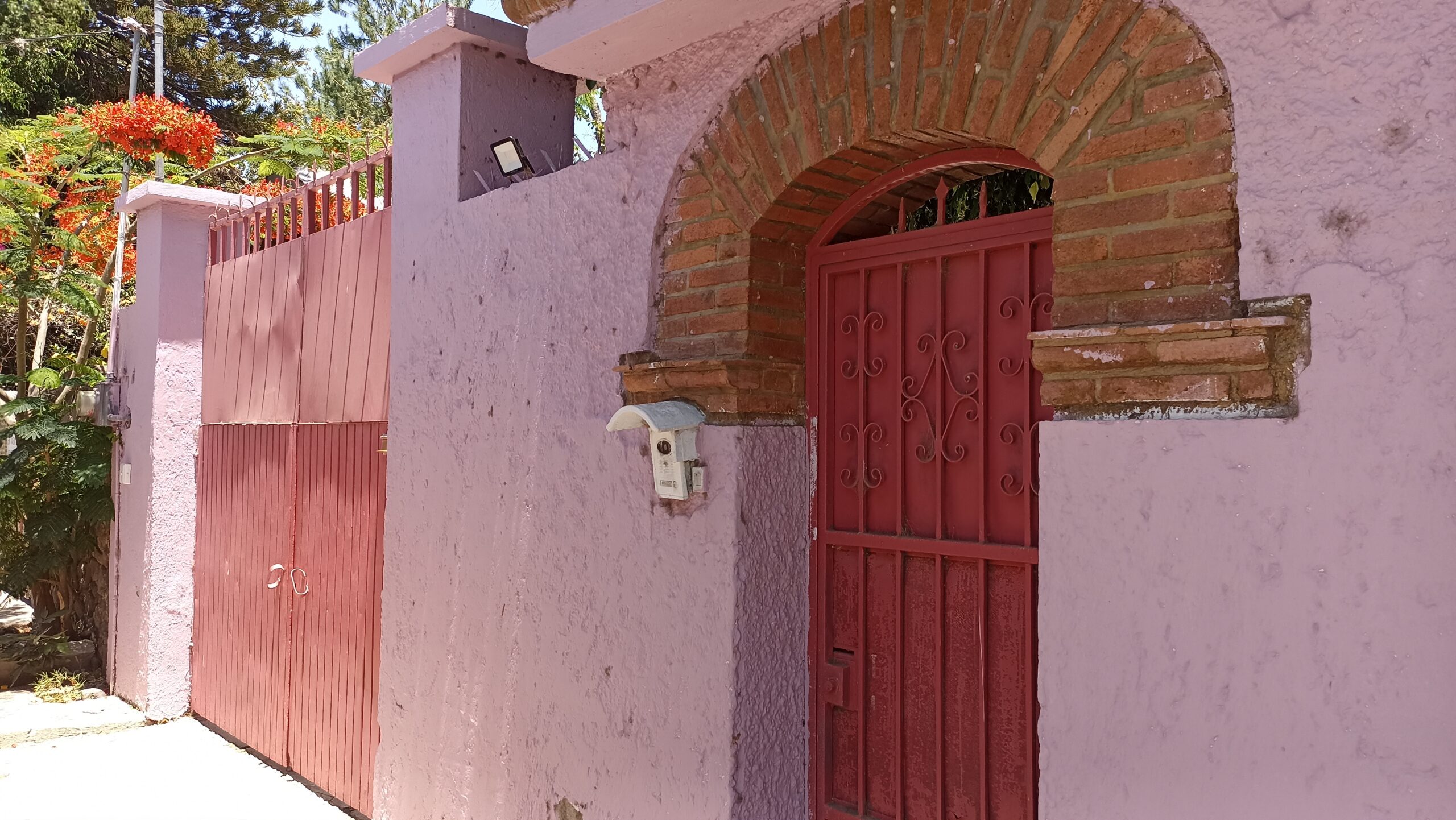 Inspection conducted at Jocotepec shelter after social media complaint