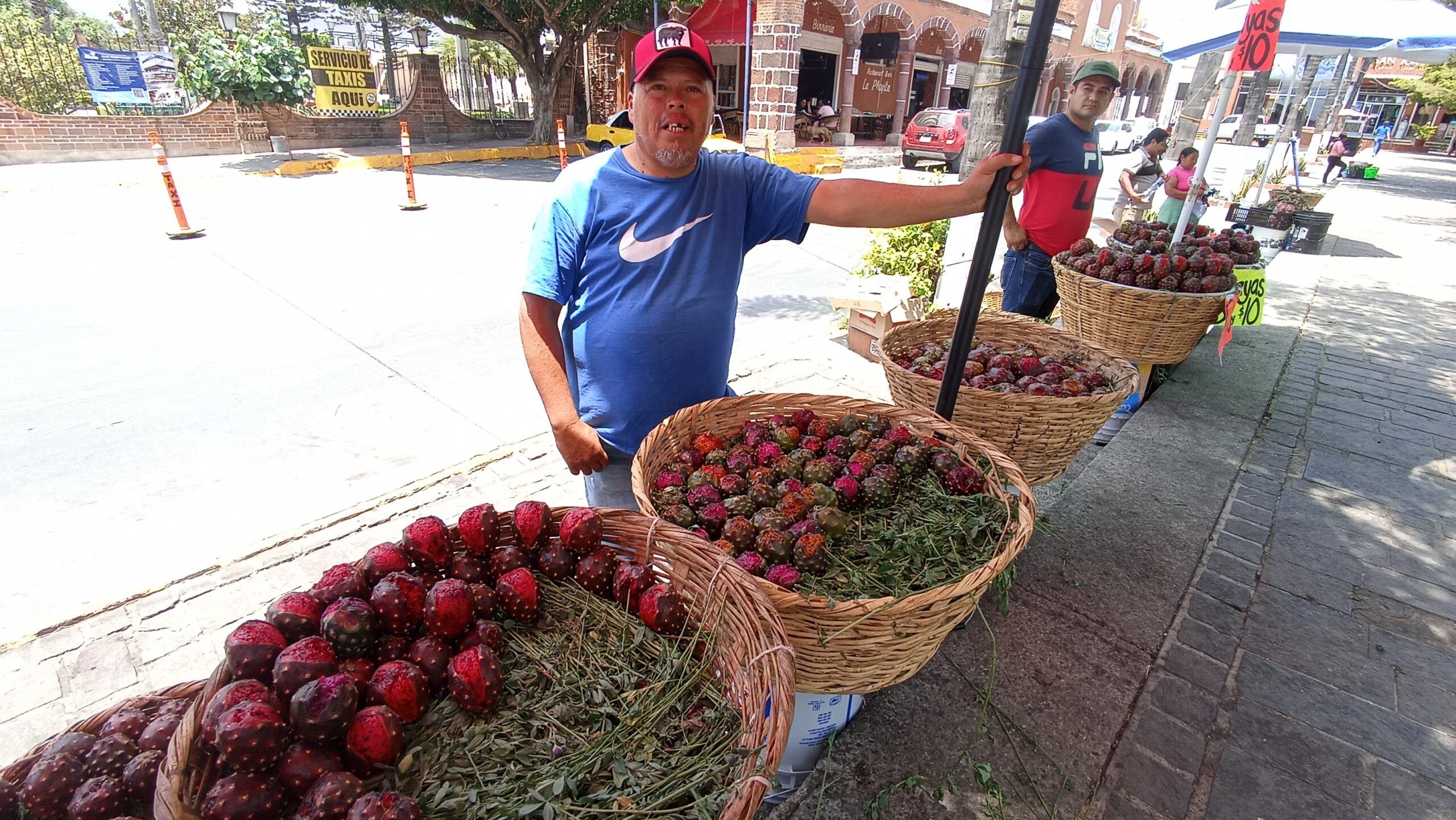 “El Güero” rolls into Jocotepec with fresh pitayas