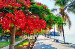 The Lakeside Effect by Amy Esperanto