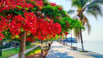 The Lakeside Effect by Amy Esperanto