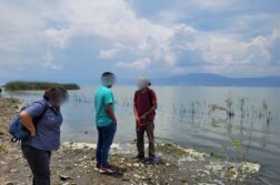 Dead tilapia found on Las 6 Esquinas shore of Lake Chapala