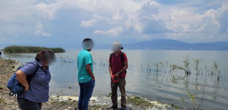 Dead tilapia found on Las 6 Esquinas shore of Lake Chapala