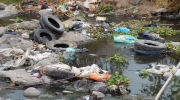 How to kill Lake Chapala’s fish